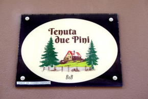 Tenuta due pini Andria